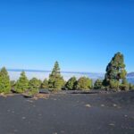 La Palma: Tour to the new Tajogaite volcano 360º. - A Deep Dive into the La Palma Volcano Experience