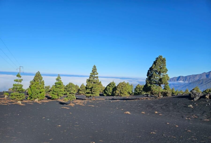 La Palma: Tour to the new Tajogaite volcano 360º. - A Deep Dive into the La Palma Volcano Experience