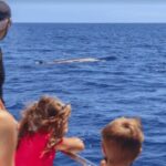La Palma: Whale Watching Experience and Coastal Highlights - Practical Tips for Choosing the Tour
