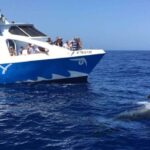 La Palma: Wildlife Viewing and Cumbre Vieja Boat Tour - Who Should Consider This Tour?