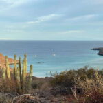 La Paz: Deluxe Yacht Adventure with Paddleboarding - Who Is This Tour Best For?