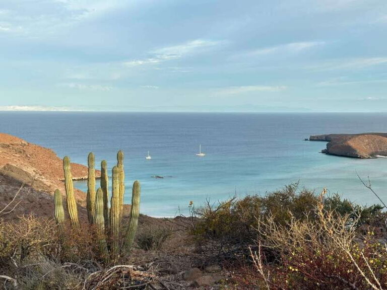 La Paz: Deluxe Yacht Adventure with Paddleboarding - Who Is This Tour Best For?