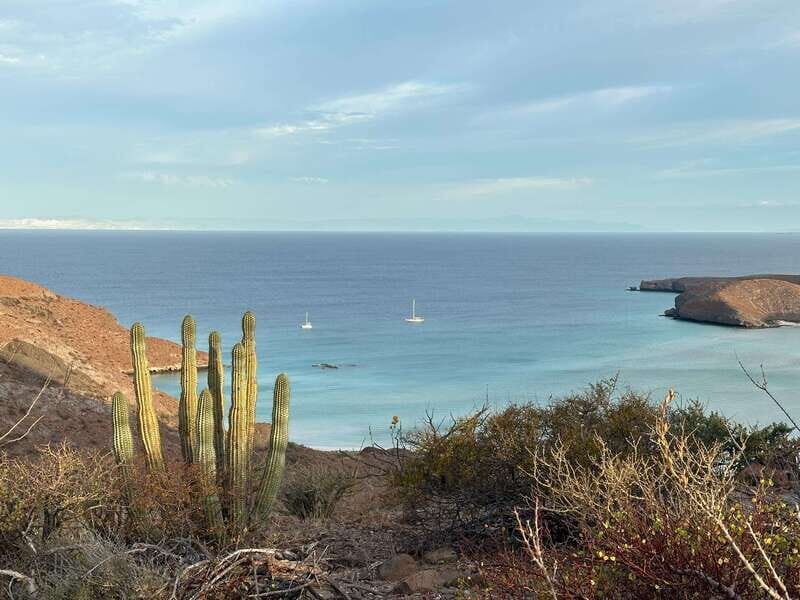 La Paz: Deluxe Yacht Adventure with Paddleboarding - Who Is This Tour Best For?