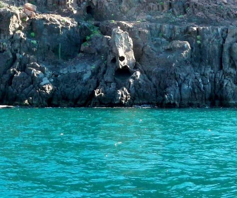 La Paz: Espíritu Santo Island Snorkeling Tour with Lunch - An In-Depth Look at the Espíritu Santo Island Snorkeling Tour