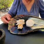 La Paz: Mangrove Adventure, Snorkeling and Shellfish Tasting - The Details: A Deep Dive into the Tour Experience