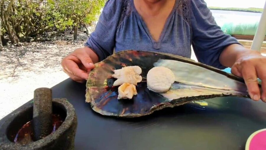 La Paz: Mangrove Adventure, Snorkeling and Shellfish Tasting - The Details: A Deep Dive into the Tour Experience