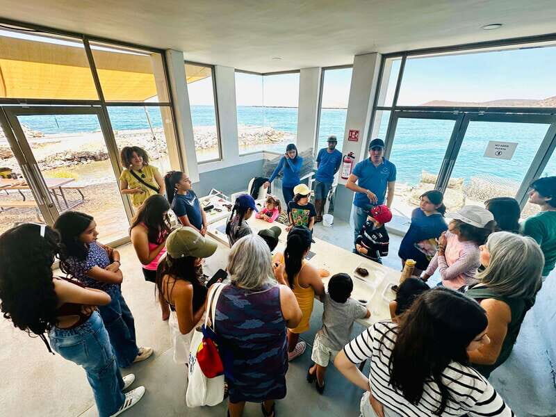 La Paz: Pearl Farm Experience and shop - What to Expect During the Tour
