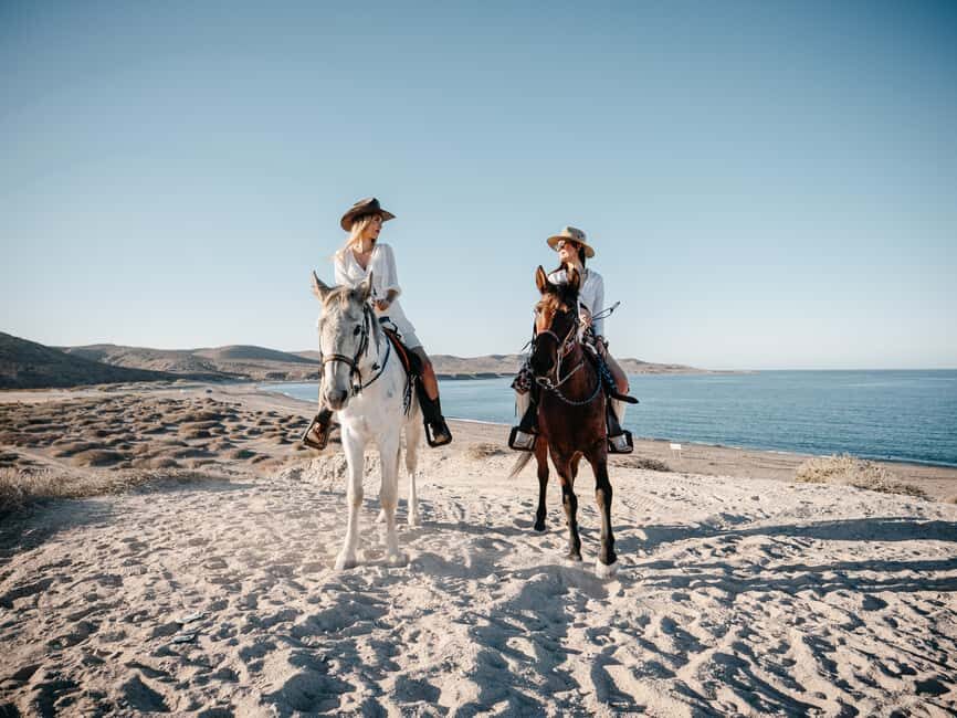 La Paz: Scenic Beach Horseback Ride with Snacks - An In-Depth Look at the La Paz Scenic Beach Horseback Ride
