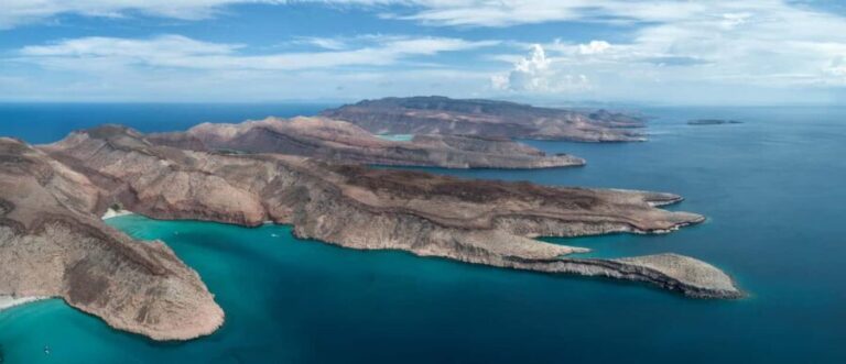 La Paz: Sea Lions & Mega-Paddleboard Tour in Espiritu Santo - Authentic Traveler Feedback