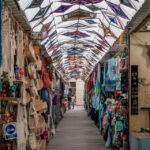 La Paz: Todos Santos Day Trip - The Experience in Detail