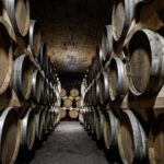 La Roche Vineuse: Tour of the Vine and Wine Museum - In-Depth Review of the Château de la Greffière Experience