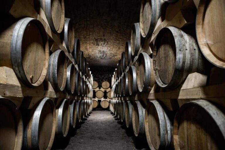 La Roche Vineuse: Tour of the Vine and Wine Museum - In-Depth Review of the Château de la Greffière Experience