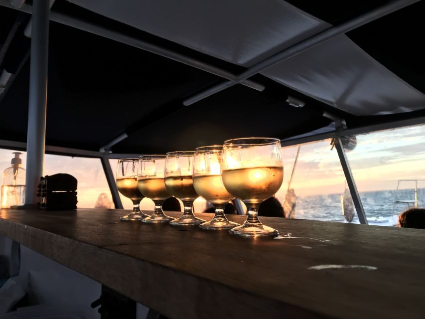 La Rochelle: Catamaran Cruise - Final Thoughts: Is This Tour for You?
