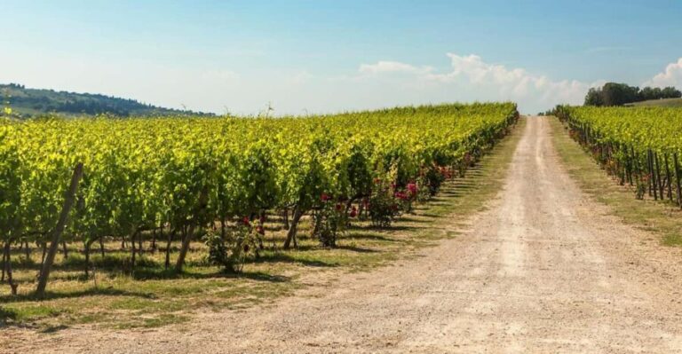 La Sala del Torriano Wine Experience - Who Would Love This Tour?
