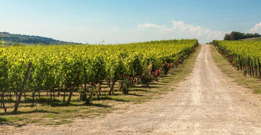 La Sala del Torriano Wine Experience - Who Would Love This Tour?
