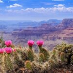 LA: San Francisco, Yosemite, Vegas, Grand Canyon &more 7days - Transportation, Logistics, and Comfort