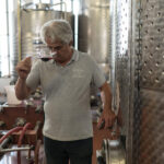 La Spezia: 4 Wines GOLD Degustation - What to Expect in Detail