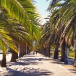 La Spezia: Guided Walking Tour with Italian-Inspired Music - The Sum Up: Is This Tour Right for You?