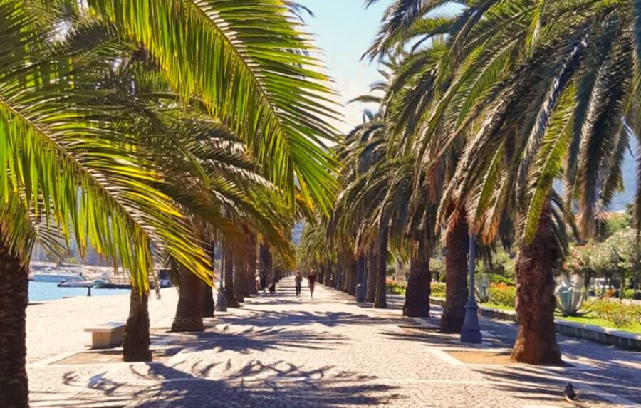 La Spezia: Guided Walking Tour with Italian-Inspired Music - The Sum Up: Is This Tour Right for You?