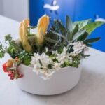 La Spezia Walking Tour & Traditional Cooking Class with Wine - Practical Aspects and Value