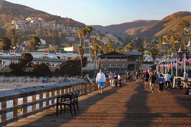LA to Santa Monica & Malibu: Private Coastal Day Trip - What Makes This Tour Stand Out?