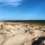 La Tremblade: Hiking in the Forêt Domaniale de la Coubre - Why This Experience Is Worth Considering