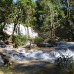 Lacandon Jungle Adventure and Bonampak Archaelogical Site - Is This Tour Worth It?