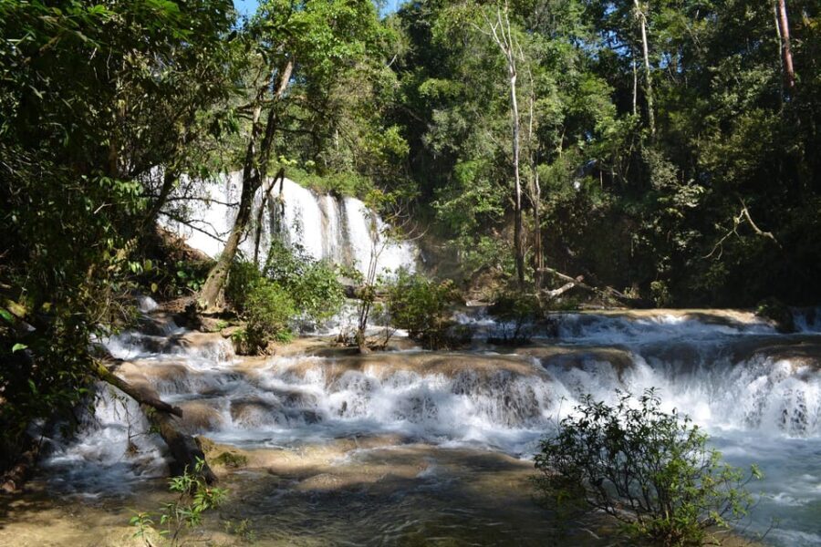 Lacandon Jungle Adventure and Bonampak Archaelogical Site - Is This Tour Worth It?