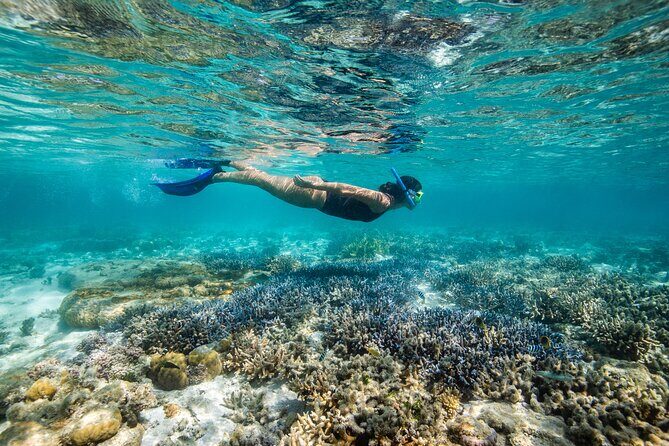 Lady Enid Sailing to Hook Island Cultural Site & Snorkelling - Who Will Love This Tour?