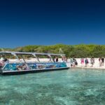 Lady Musgrave Day Trip from Bundaberg Including Snorkeling - An In-Depth Look at the Lady Musgrave Experience