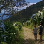 Lagoa do Fogo Trail Full-Day Walking Tour with Lunch - Authentic Experiences and Practical Details
