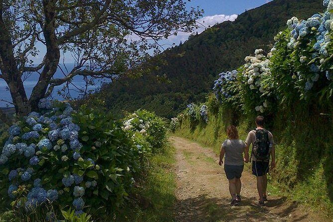 Lagoa do Fogo Trail Full-Day Walking Tour with Lunch - Authentic Experiences and Practical Details