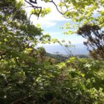 Lagoa do Fogo Walking Tour with Lunch from Ponta Delgada - The Sum Up: Is It Worth It?