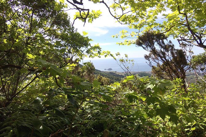Lagoa do Fogo Walking Tour with Lunch from Ponta Delgada - The Sum Up: Is It Worth It?