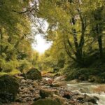Lagodekhi - A day hiking from Tbilisi - In-Depth Look at the Tour Experience