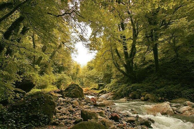 Lagodekhi - A day hiking from Tbilisi - In-Depth Look at the Tour Experience