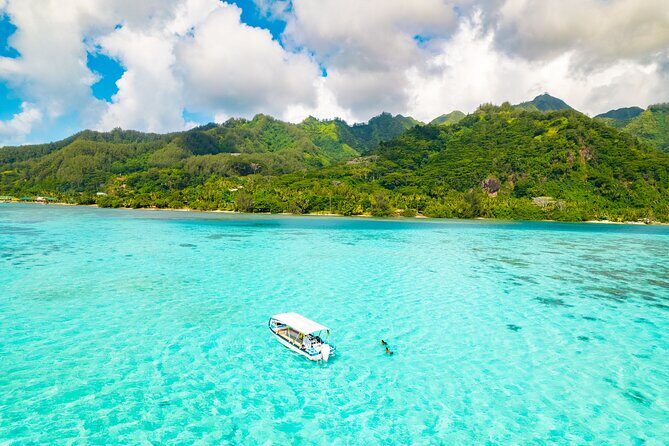 Lagoon and Marine Wildlife Tour in Moorea - Frequently Asked Questions