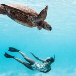 Lagoon and Wildlife Discovery on a Private Boat in Moorea - Practical Details and What It Means for You
