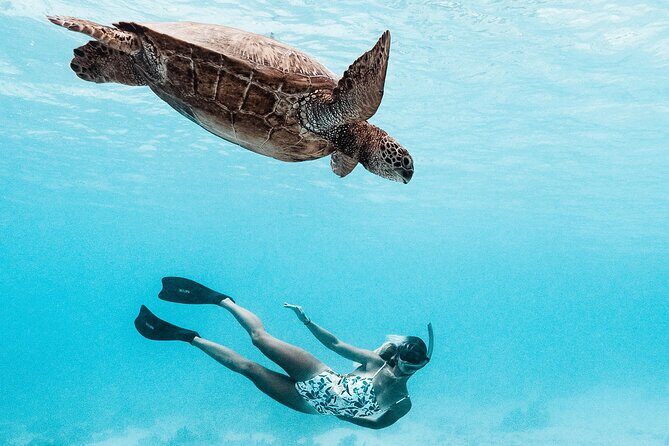 Lagoon and Wildlife Discovery on a Private Boat in Moorea - Practical Details and What It Means for You