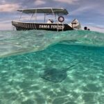 Lagoon Exploration and Snorkeling in Moorea - Why You Should Consider Doing This Tour