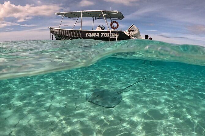 Lagoon Exploration and Snorkeling in Moorea - Why You Should Consider Doing This Tour