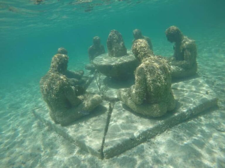 Lagoon ride and snorkeling - Who Will Love This Tour?