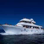 Lagoon to Paphos: Blue Lagoon All Inclusive Round Trip - A Detailed Look at the Lagoon to Paphos Cruise