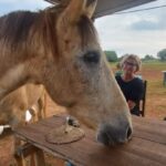 Lagos: A walk with a rescued horse at the sanctuary - A detailed look at the experience