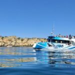Lagos: Dolphin Watching Half-Day Cruise & Water Activities - Final Thoughts