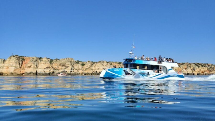 Lagos: Dolphin Watching Half-Day Cruise & Water Activities - Final Thoughts