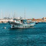 Lagos Lunch Coastal Cruise - Who Should Consider This Tour?