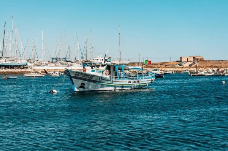 Lagos Lunch Coastal Cruise - Who Should Consider This Tour?