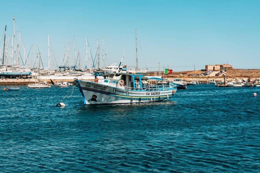 Lagos Lunch Coastal Cruise - Who Should Consider This Tour?