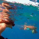 Lahaina Small Group Snorkeling Adventure - Who is This Tour Best For?